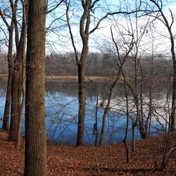 Perrineville Lake Park