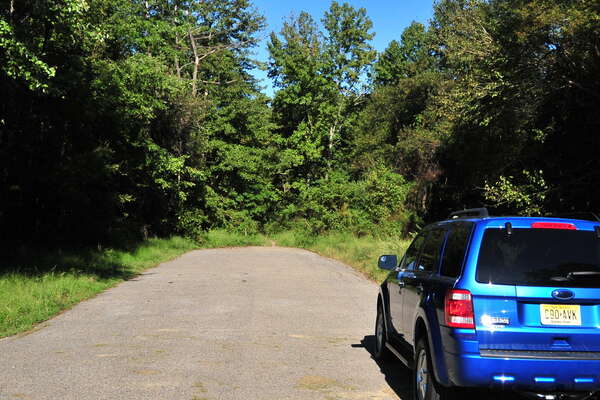 We meet near the east picnic area