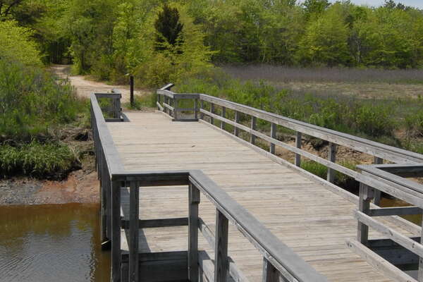 Cheesequake State Park