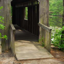 Photos Of: Birch Grove Park - Trails - 06/26/2009