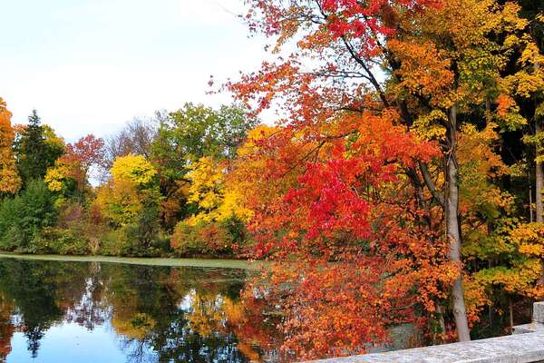 Duke Farms