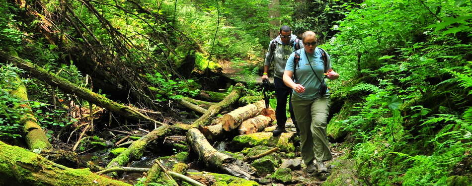 Featured Places: Tillman Ravine and Buttermilk Falls