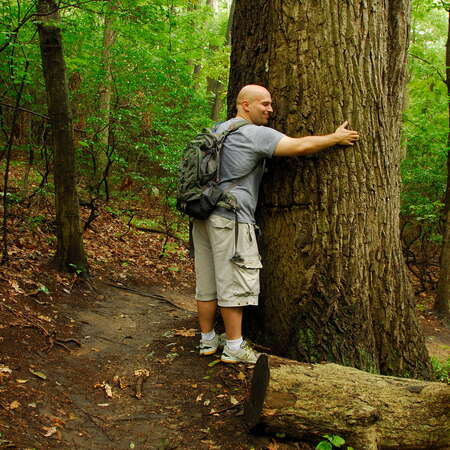 Photos of: Hartshorne Woods County Park - 03/14/2012