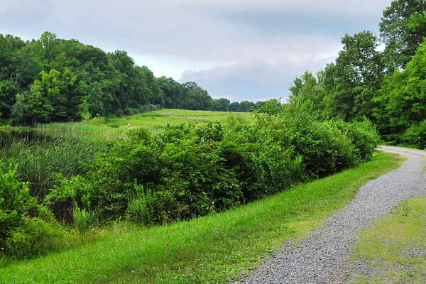 Walking towards the camping area
