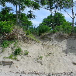 Kayaking in Bayshore Waterfront Park (2005) - 07/11/2018