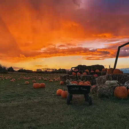 Lentini Farms