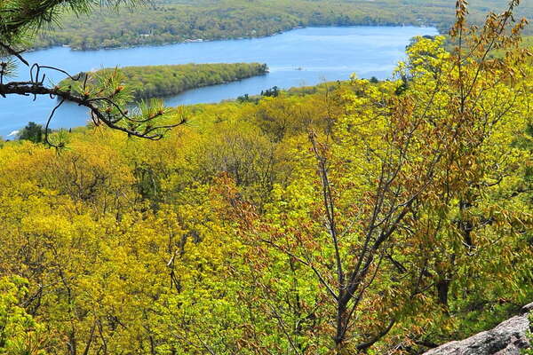 Abram S. Hewitt State Forest