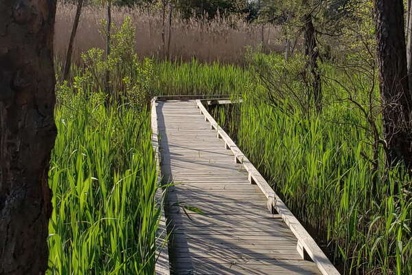 Beaver Dam Creek
