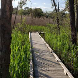 Beaver Dam Creek County Park