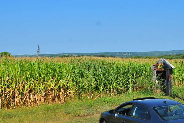 Scenic ride on the Black River and Western Railroad