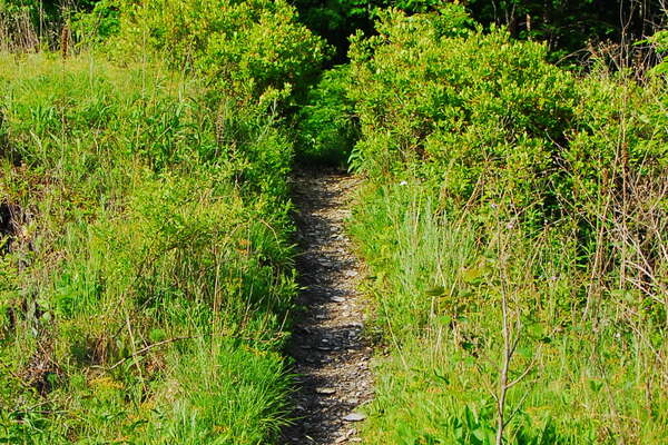 Kittatiny State Park, Sussex