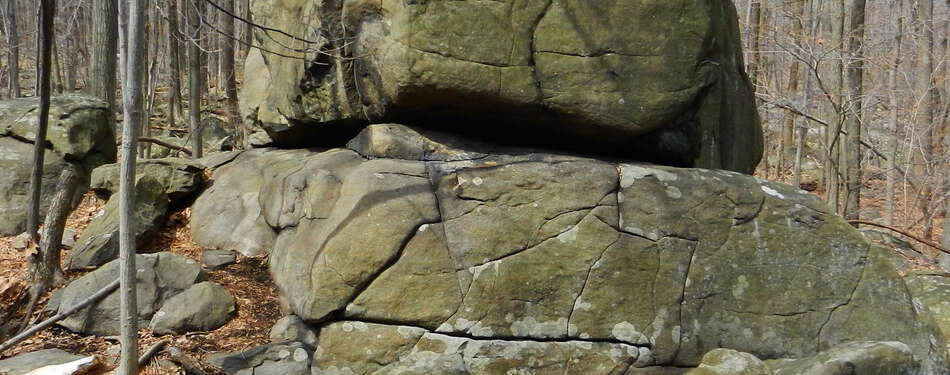 Featured Place: Sourland Mountain Preserve