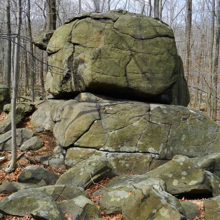 Featured Place: Sourland Mountain Preserve