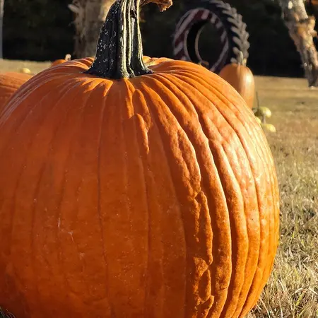 Great Pumpkin Festival at Heaven Hill Farm