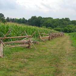 Monmouth Battlefield State Park