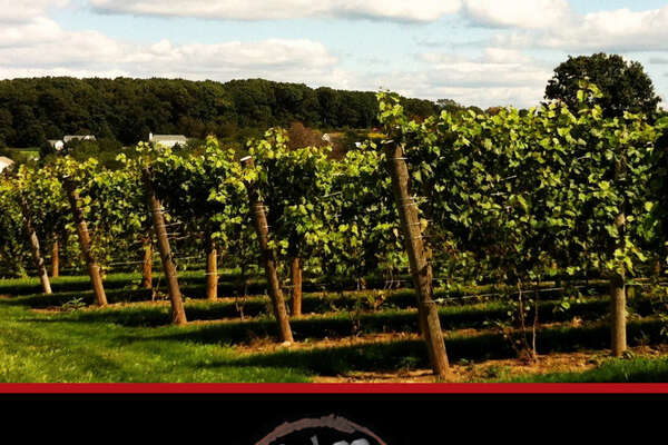 Beneduce Vineyards
