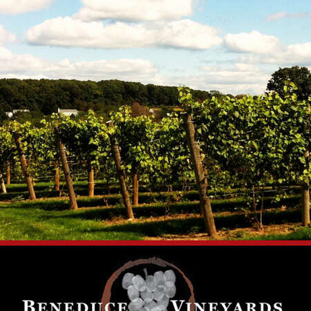 Beneduce Vineyards (Vineyard and Winery)