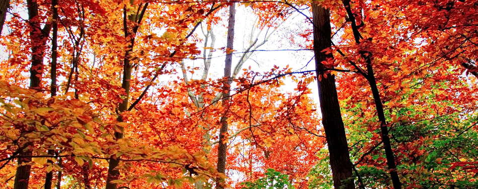 Fall And Winter Recap - March 2016