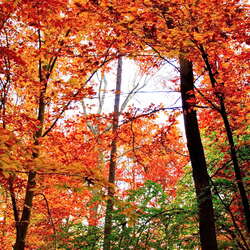 Fall And Winter Recap - March 2016