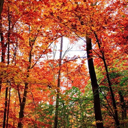 Fall And Winter Recap - March 2016