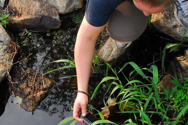 Checking out the frogs