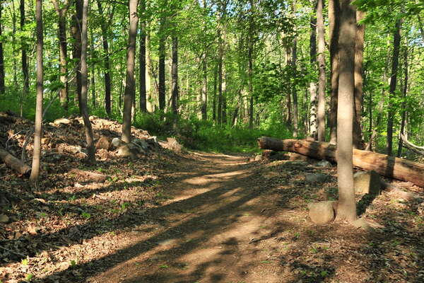 Walking the ridge trail