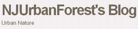 NJUrbanForest-Logo.jpg