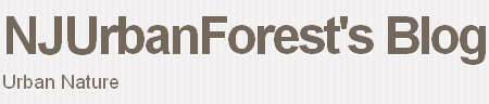 NJUrbanForest's Blog - Urban nature
