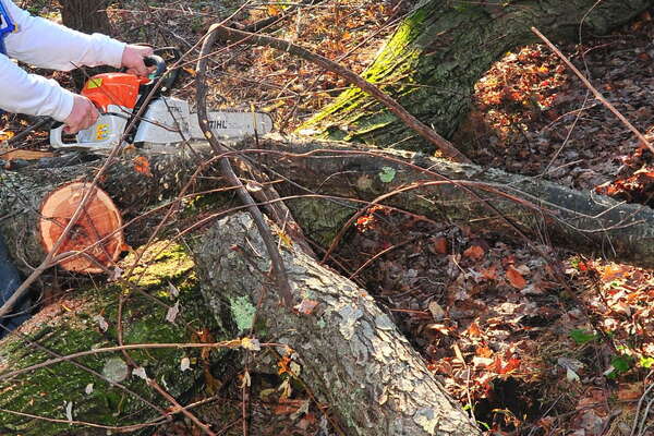 The trail is under here, somewhere 2