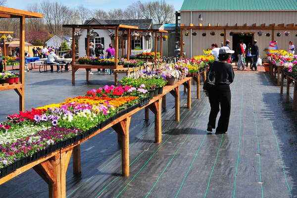 Oasis Family Farm, Easter Egg Hunt Weekend