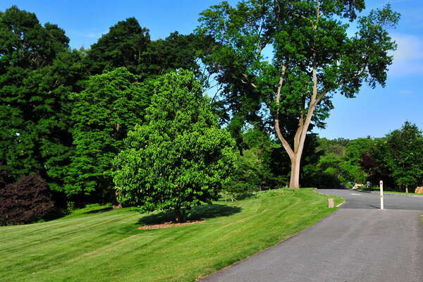 Frelinghuysen Arboretum - June 16th 2014