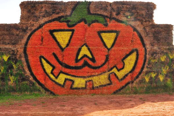 Snyders Farm Fall Festival - 2015