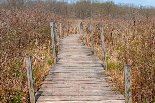 Trails in Lord Stirling Park