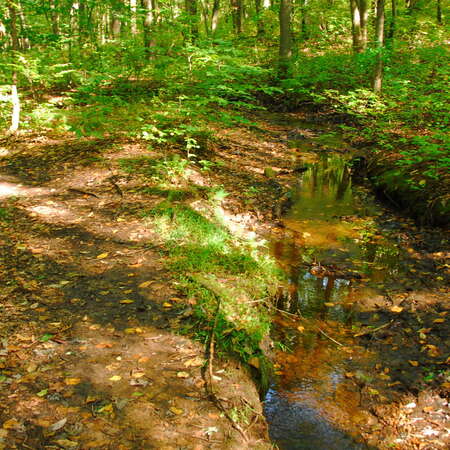 Photos Of: Thompson Park (Middlesex County) - 09/10/2009