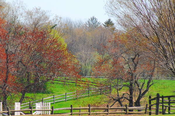 Lord Stirling Stables