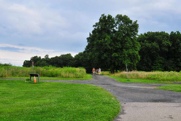 Nice paths (looks like rain)