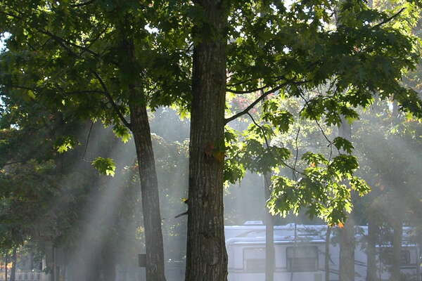 Seashore Campsites Inc