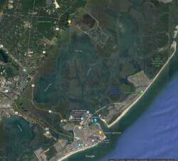 Absecon Wildlife Management Area