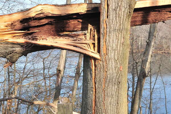 We lost a big one here