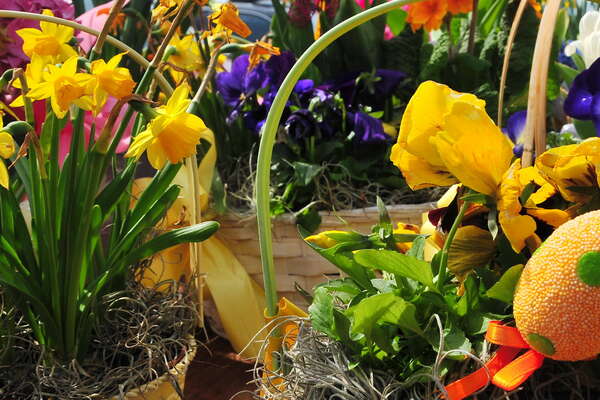 Oasis Family Farm, Easter Egg Hunt Weekend
