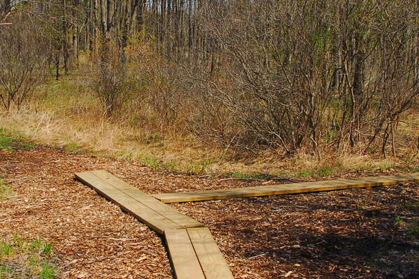 Trails in Lord Stirling Park