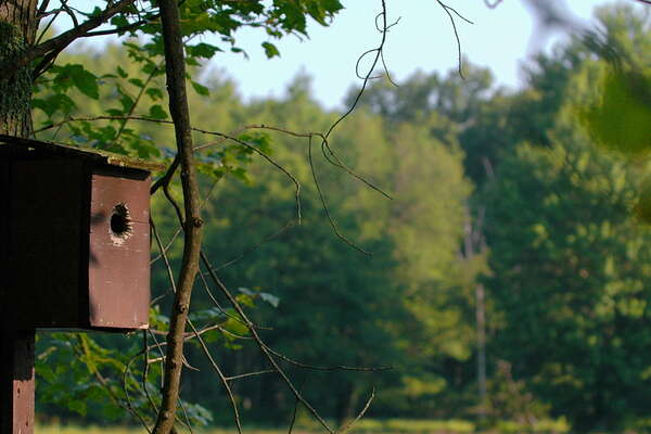 Bird house
