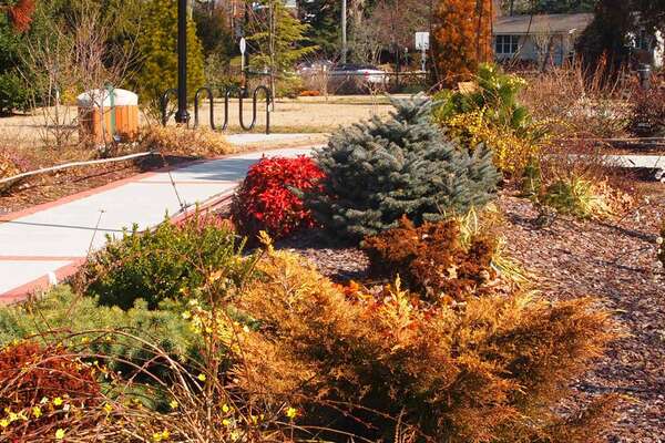 Linwood Arboretum