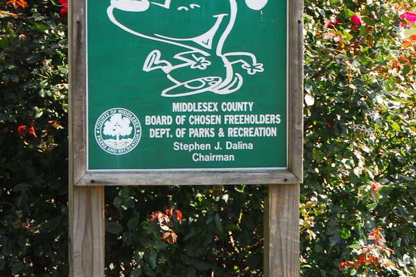 Thompson Park Dog Area