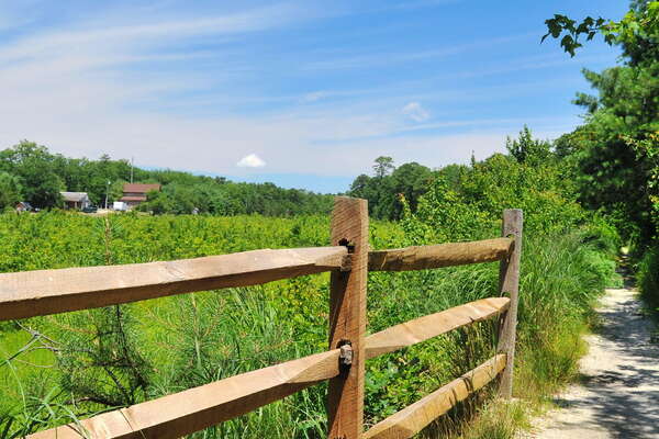 Cloverdale County Park