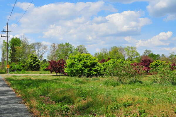 Union Transportation Trail