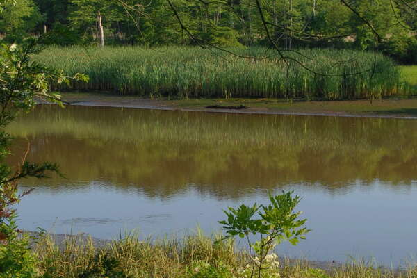 Manasquan River Wildlife Management Area