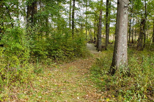 Fall HIking in Lord Sitrling Park