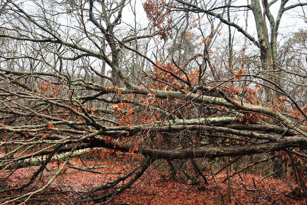 A big mess of the main access road