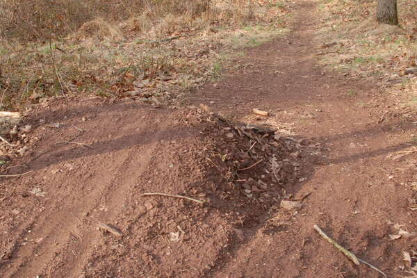 One of the dirt jumps in the park